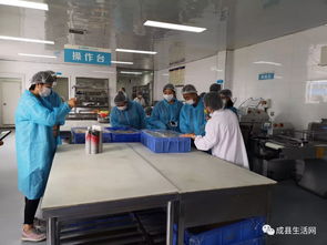 隴南生活網團隊走進成縣優點食品廠，探索乳制品背后的匠心與創新